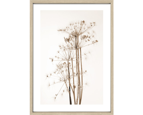 Gerahmtes Bild mit Pflanzenmotiv für die Wanddekoration