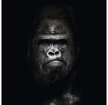 Porträt eines Gorillas