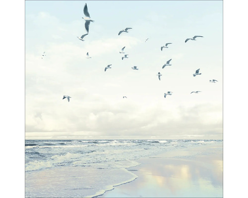 Tableau en verre Seagulls On The Beach 20x20 cm