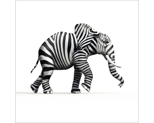 Tableau en verre Striped Elefant 20x20 cm