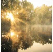 Sonnenaufgang über einem ruhigen See mit Bäumen und leichtem Nebel