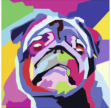 Illustration eines bunten Bulldog Kopfes
