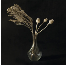 Arrangement décoratif de plantes dans un vase en verre