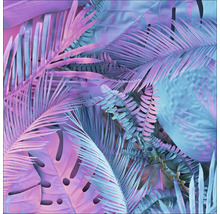 Diverses feuilles tropicales, notamment Monstera et palmiers