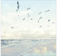 Plage avec des mouettes volantes