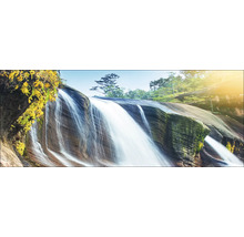 Cascade avec rochers et plantes