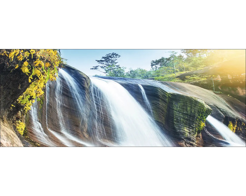 Cascade avec rochers et plantes