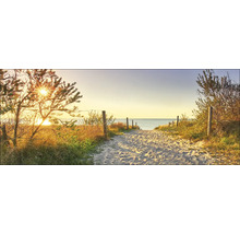 Chemin de sable vers la mer avec soleil