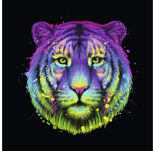 Illustration eines Tigerkopfes mit Farbspritzern