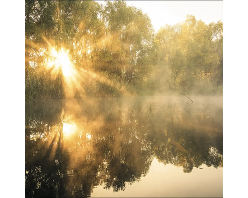 Morgenstimmung am See mit Sonnenstrahlen und Bäumen