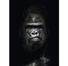 Nahaufnahme eines Gorillas vor dunklem Hintergrund