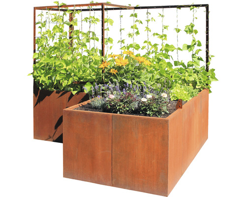 Kit de jardinière surélevée Palatino Urban avec tuteur 100 x 100 x 183 cm marron avec câble à pinces