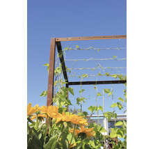 Kit de jardinière surélevée Palatino Urban avec tuteur 200 x 100 x 183 cm marron avec câble à pinces