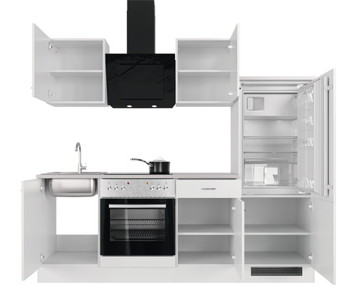 Cuisine complète avec évier, plaque de cuisson, four, hotte aspirante, réfrigérateur et placards