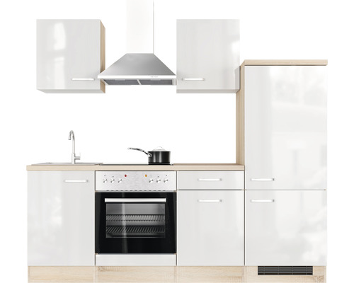 Küchenzeile mit Spüle, Kochfeld, Backofen, Dunstabzugshaube und Schränken