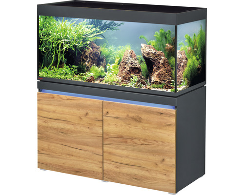 Kit complet d'aquarium EHEIM incpiria 430 avec éclairage à LED et meuble bas éclairé graphite/chêne