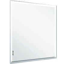 Spiegelschrank KEUCO Royal Lumos 65 x 16,5 x 73,5 cm silber 1-türig LED IP 24 Unterputz 721