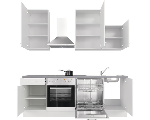 Küchenzeile mit Spüle, Herd, Backofen, Dunstabzugshaube, Geschirrspüler und offenen Schränken
