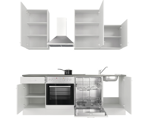 Küchenzeile mit Spüle, Geschirrspüler, Herd, Dunstabzugshaube und Hängeschränken