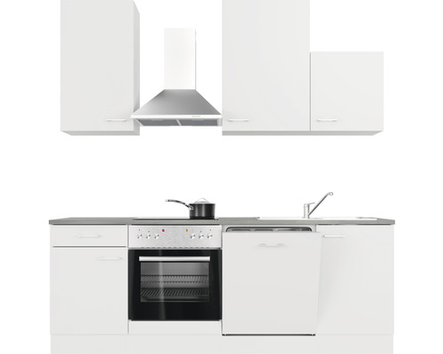 Komplette Küchenzeile mit Spüle, Herd, Backofen, Geschirrspüler, Dunstabzugshaube und Hängeschränken.