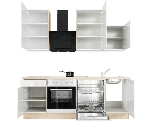 Cuisine équipée avec évier, lave-vaisselle, cuisinière, four, hotte aspirante et placards