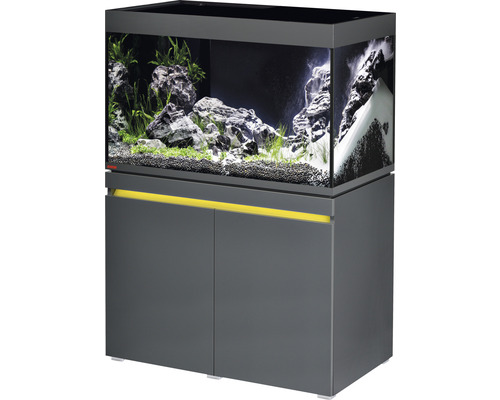 Kit complet d'aquarium EHEIM incpiria 330 avec éclairage à LED et meuble bas éclairé graphite