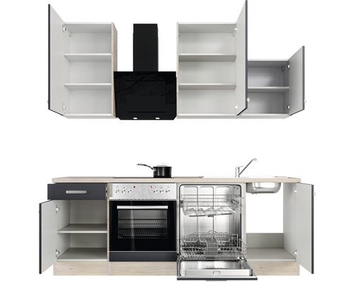 Küchenzeile mit Spüle, Geschirrspüler, Herd, Dunstabzugshaube und Hängeschränken