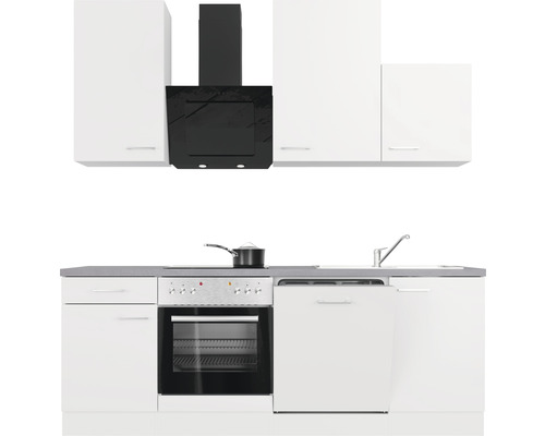 Komplette Küche mit Spüle, Herd, Backofen, Dunstabzugshaube, Geschirrspüler und Schränken
