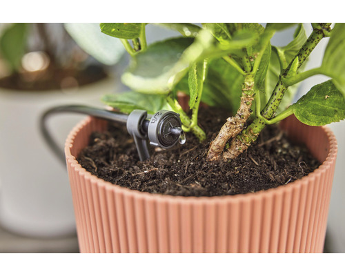 Bewässerungssystem für Topfpflanze im Einsatz