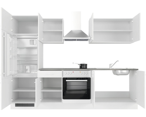 Küchenzeile mit Kühlschrank, Herd, Spüle und Dunstabzugshaube