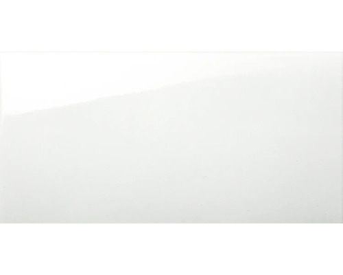 Carrelage mural en grès Glace 30x60x0,73 cm blanc brillant Carrelage mural en grès Glace 30x60x0,73 cm blanc brillant