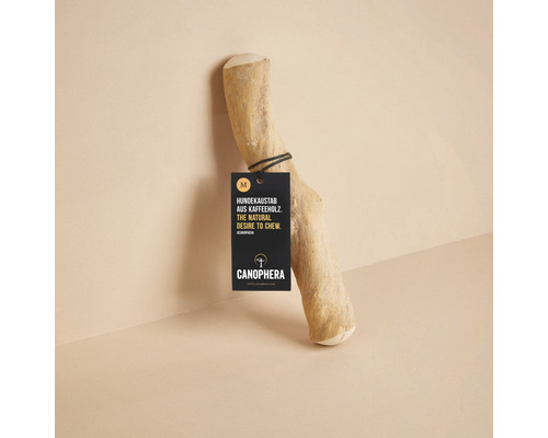 Jouet pour chien CANOPHERA bâton à mâcher pour chien en bois de caféier Taille M env. 22 - 26 cm, pour chiens jusqu'à 20 kg marron, diminution du stress, hygiène dentaire, occupation Bâton à mâcher pour chien en bois de café avec étiquette