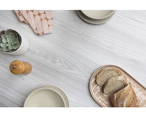 Dekoratives Arrangement mit Brotteller, Geschirr, Gewürzstreuer, Sukkulente und Stoffserviette auf Holztisch