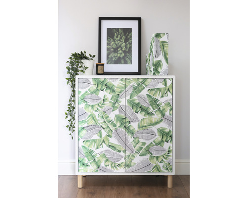 Armoire avec motif de feuilles, image encadrée et plante d''intérieur sur un fond clair.