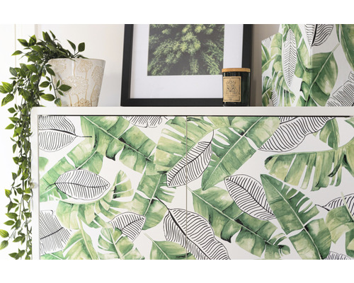 Armoire à motif de feuilles, plante d''intérieur, image encadrée et bougie
