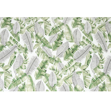 Film adhésif d-c-fix® Liva 67,5x200 cm