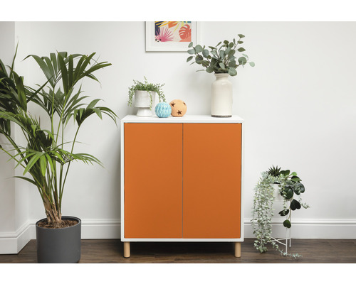Modernes Sideboard mit zwei Türen und Pflanzen auf der Oberseite und daneben