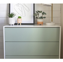 Commode à trois tiroirs avec des plantes et une lampe sur le dessus