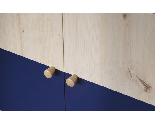 Vue détaillée d''une armoire avec structure en bois et surfaces bleues ainsi que des poignées en bois