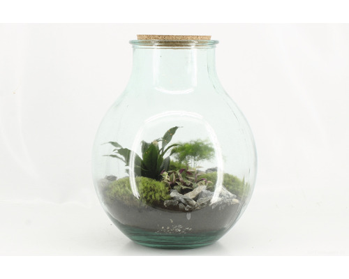 Glasflasche mit Pflanzen und Steinen als Terrarium