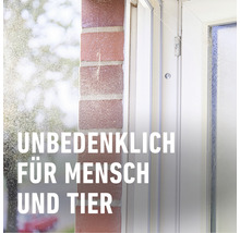 Spinnen-Raus COMPO 750 ml natürlicher Wirkstoff Unbedenklich für Nützlinge und Haustiere