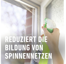 Eine Person sprüht Spinnenschutzmittel auf einen Fensterrahmen, um die Bildung von Spinnweben zu reduzieren.