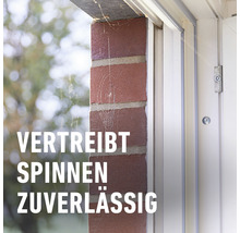Spinnen-Raus COMPO 750 ml natürlicher Wirkstoff Unbedenklich für Nützlinge und Haustiere