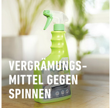 Spinnen-Raus COMPO 750 ml natürlicher Wirkstoff Unbedenklich für Nützlinge und Haustiere