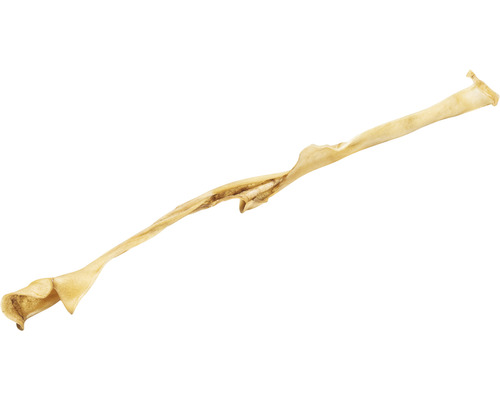 Hund Kauartikel aus Rinderhaut