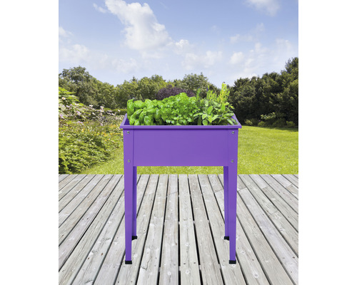 Jardinière surélevée sur pilotis Taille 1 60 x 30 x 80 cm violet