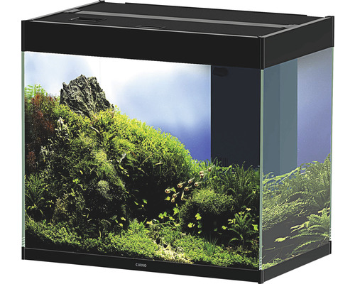 Eingerichtetes Aquarium mit Abdeckung