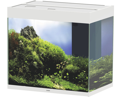 Weißes Aquarium mit Pflanzen, Fischen und Steinen