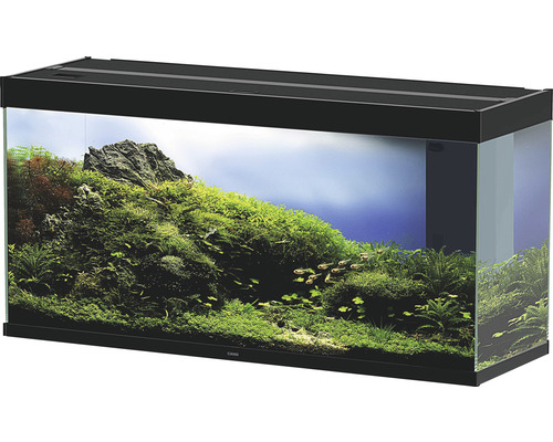 Eingerichtetes Aquarium mit Pflanzen und Fischen