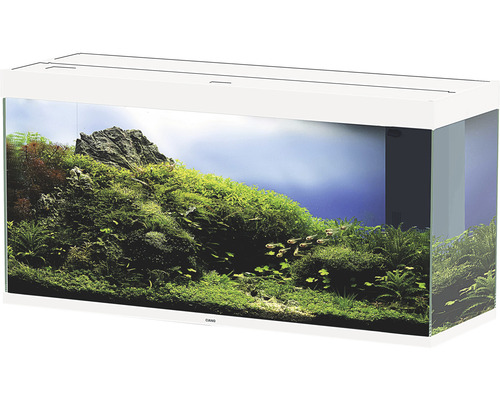 Aquarium mit Fischen, Pflanzen und Steinen